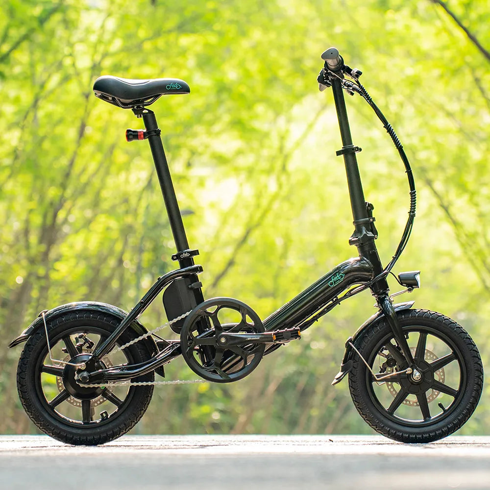 D3 Pro Mini Electric Bike -