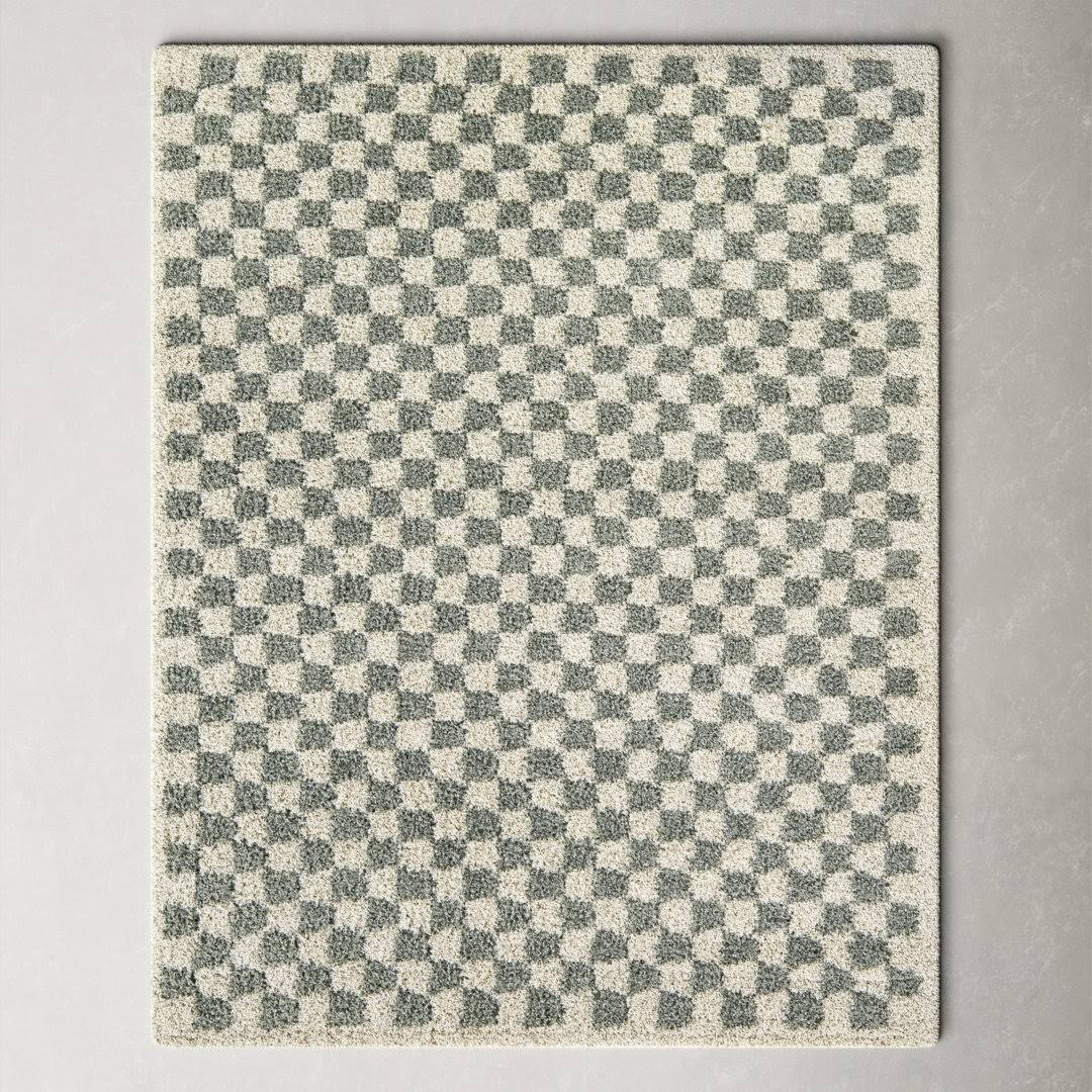 Walker Checkered Sage/Cream Shag Area Rug AllModern Rug Size: Rectangle 7'10" x 10' - Product image 1