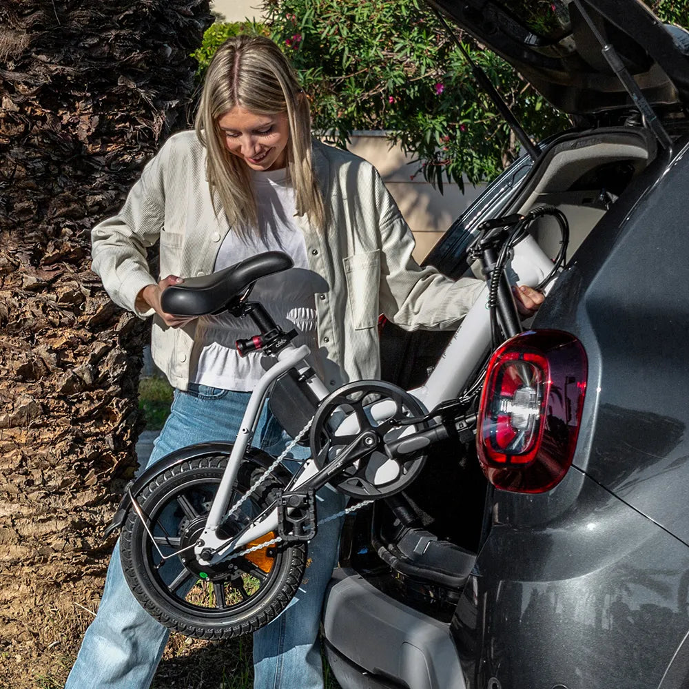 D3 Pro Mini Electric Bike -