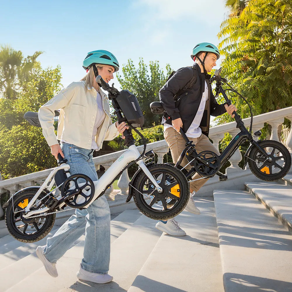 D3 Pro Mini Electric Bike -